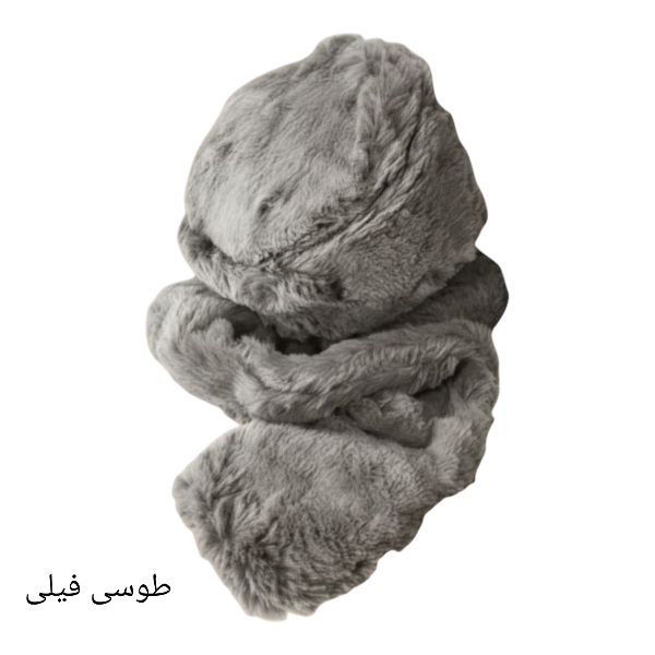 کلاه زنانه و شال گردن روس خز