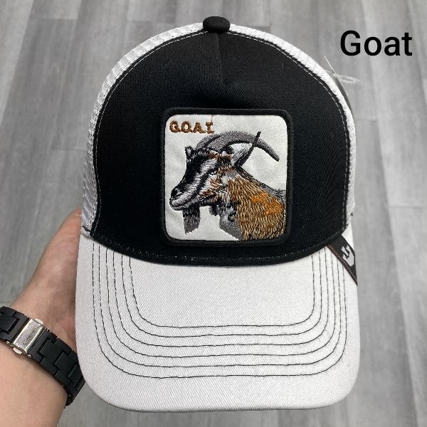 کپ نقاب دار پشت تور گورین 01